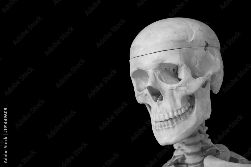 Obraz premium Human skull head isolated on black with space for text.