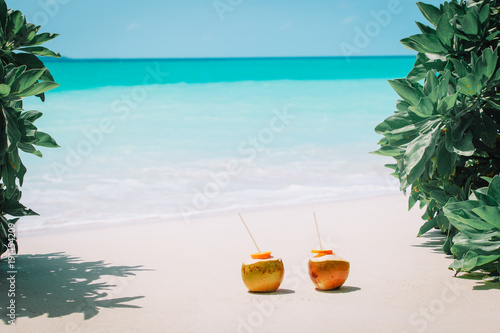 two coconut drinks on tropical beach vacation © nadezhda1906