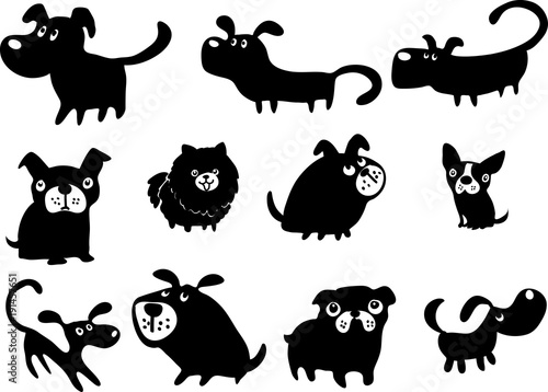 animals