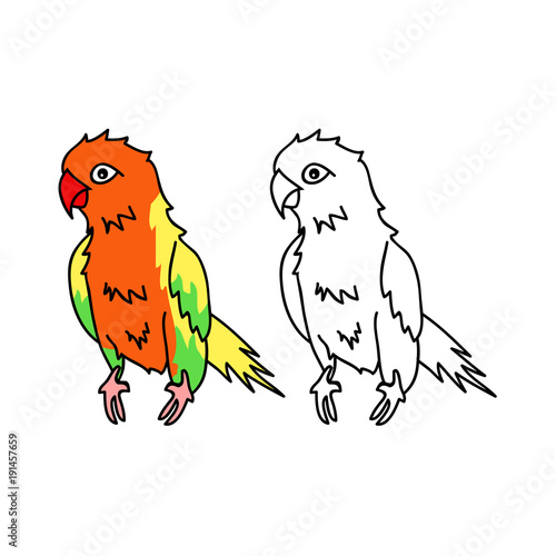 Colorful Parrot