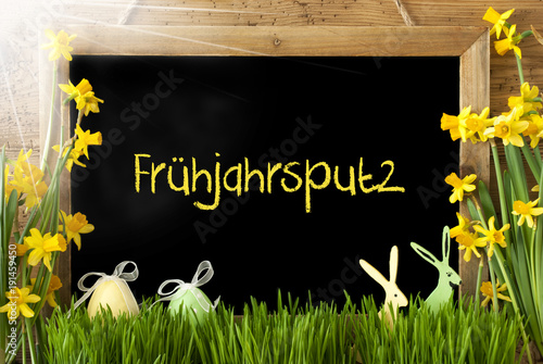 Sunny Narcissus, Easter Egg, Bunny, Fruehjahrsputz Means Spring Cleaning photo