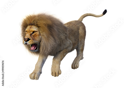 Fototapeta Naklejka Na Ścianę i Meble -  3D Rendering Male Lion on White