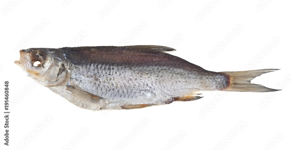 dried fish isolated on white background dried fish isolated on white background