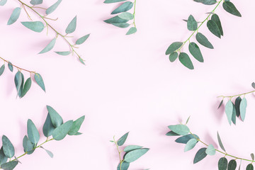 Eucalyptus leaves on pink background. Frame made of eucalyptus branches. Flat lay, top view, copy space