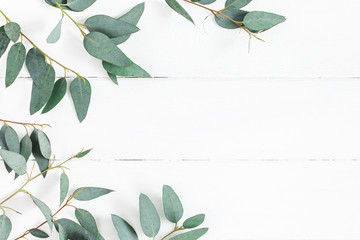 Eucalyptus leaves on white background. Frame made of eucalyptus branches. Flat lay, top view, copy space