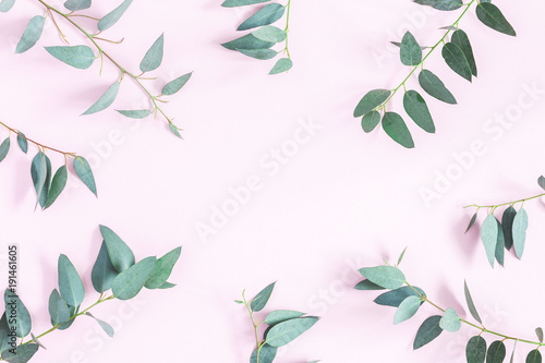 Eucalyptus leaves on pink background. Frame made of eucalyptus branches. Flat lay, top view, copy space © Flaffy