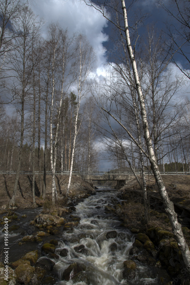 Ruisseau à Sahanlahti, Carélie, Finlande Ruisseau à Sahanlahti, Carélie, Finlande