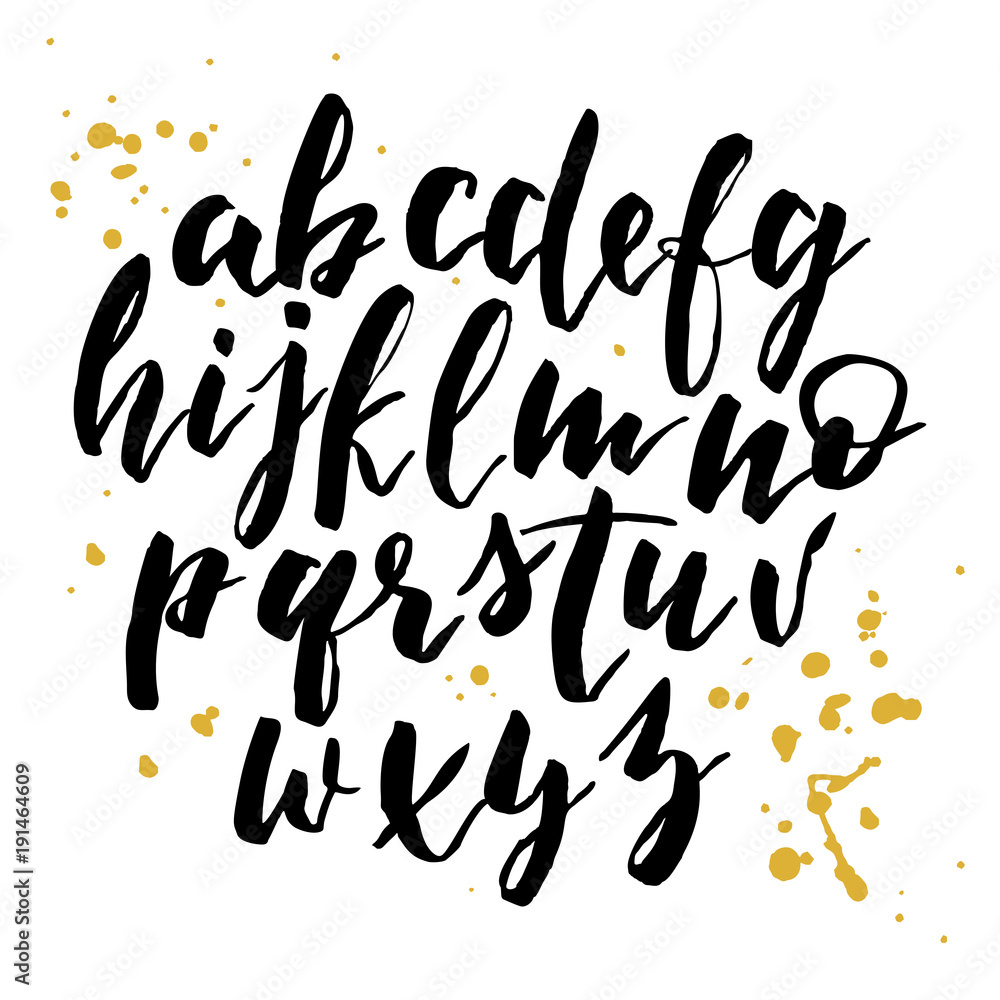 Handwritten alphabet. Hand Drawn Font script. Brush ink Calligraphy