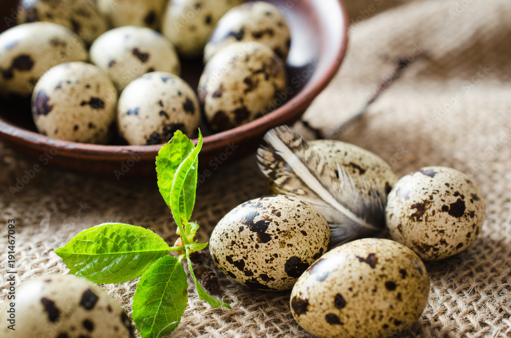 Fresh Organic Quail Eggs and Spring Foliage. Fresh Organic Quail Eggs and Spring Foliage.