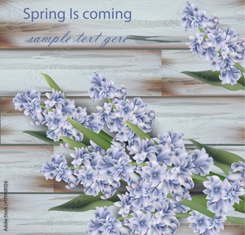 Lavender bouquet on wood background. Spring Vector realistic illustrations