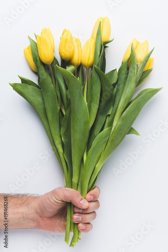 cropped shot of person holding beautiful yellow tulips isolated on grey