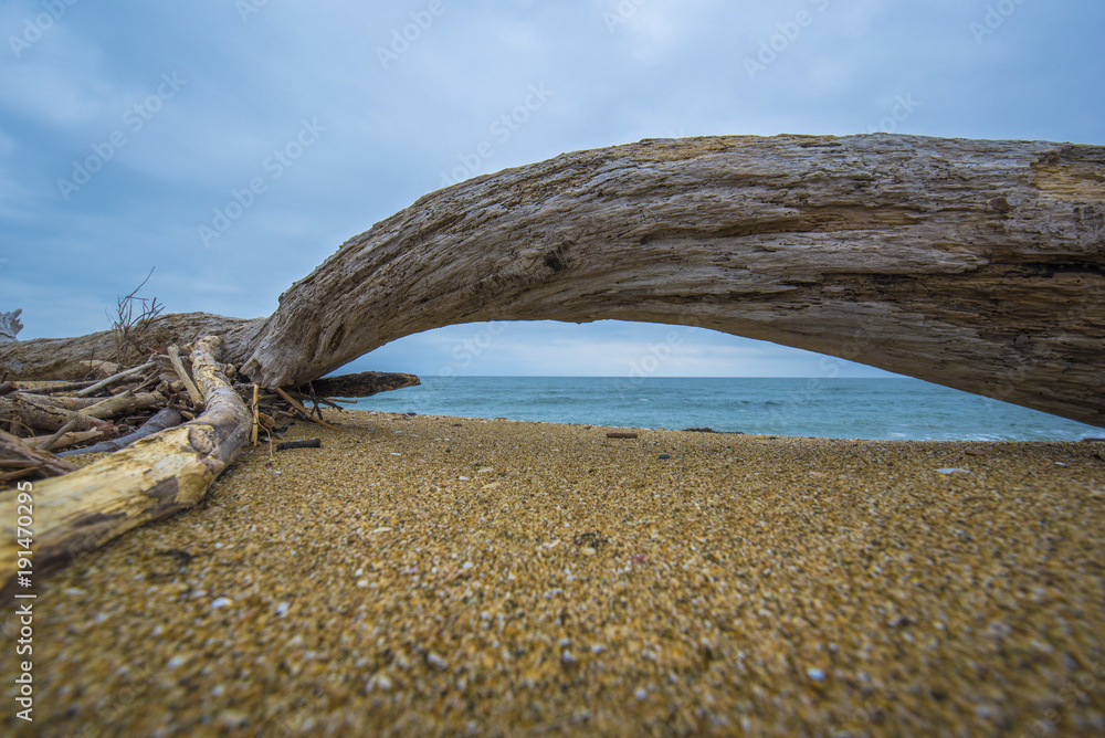 view of the turquoise sea under a tree on the beach