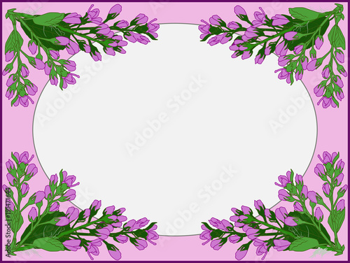 frame from pink spring blossoming branches