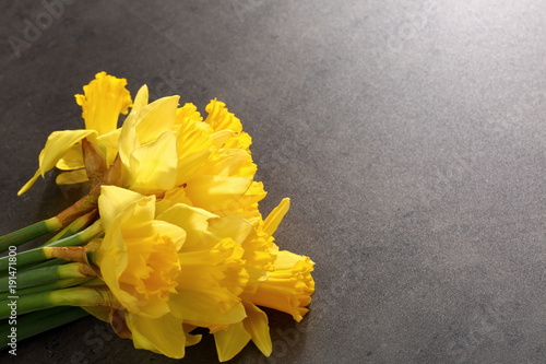Fototapeta Naklejka Na Ścianę i Meble -  Narcissus - daffodil, a species of amaryliaceous plant species.