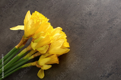 Fototapeta Naklejka Na Ścianę i Meble -  Narcissus - daffodil, a species of amaryliaceous plant species.