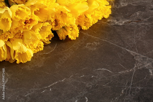 Fototapeta Naklejka Na Ścianę i Meble -  Narcissus - daffodil, a species of amaryliaceous plant species.