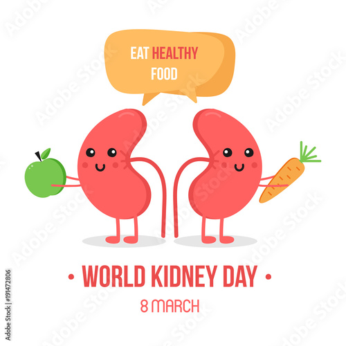 Vector illustration for world kidney day with couple of kidneys characters, giving advice to eat healthy food, vegetables.
