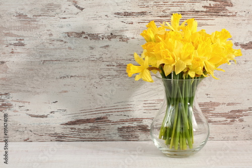 Fototapeta Naklejka Na Ścianę i Meble -  Narcissus - daffodil, a species of amaryliaceous plant species.