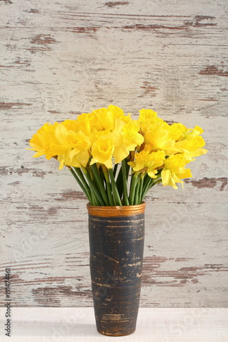 Fototapeta Naklejka Na Ścianę i Meble -  Narcissus - daffodil, a species of amaryliaceous plant species.