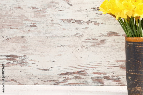 Fototapeta Naklejka Na Ścianę i Meble -  Narcissus - daffodil, a species of amaryliaceous plant species.