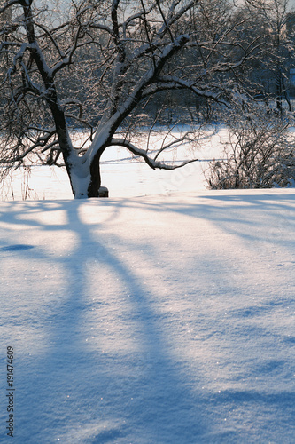 Nice Winter Background