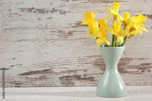 Fototapeta Naklejka Na Ścianę i Meble -  Narcissus - daffodil, a species of amaryliaceous plant species.