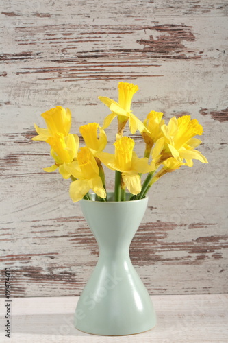 Fototapeta Naklejka Na Ścianę i Meble -  Narcissus - daffodil, a species of amaryliaceous plant species.