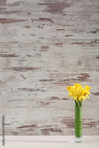 Fototapeta Naklejka Na Ścianę i Meble -  Narcissus - daffodil, a species of amaryliaceous plant species.
