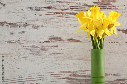 Fototapeta Naklejka Na Ścianę i Meble -  Narcissus - daffodil, a species of amaryliaceous plant species.