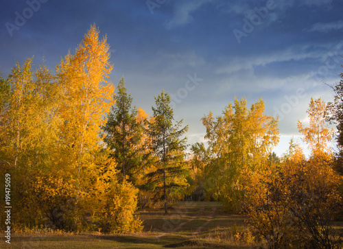 Autumn landscape