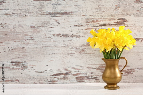 Fototapeta Naklejka Na Ścianę i Meble -  Narcissus - daffodil, a species of amaryliaceous plant species.
