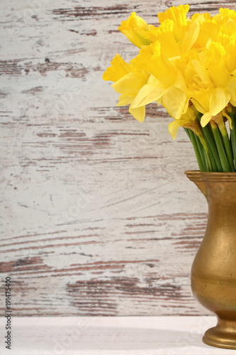 Fototapeta Naklejka Na Ścianę i Meble -  Narcissus - daffodil, a species of amaryliaceous plant species.