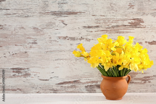 Fototapeta Naklejka Na Ścianę i Meble -  Narcissus - daffodil, a species of amaryliaceous plant species.