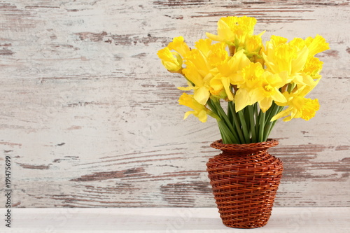 Fototapeta Naklejka Na Ścianę i Meble -  Narcissus - daffodil, a species of amaryliaceous plant species.