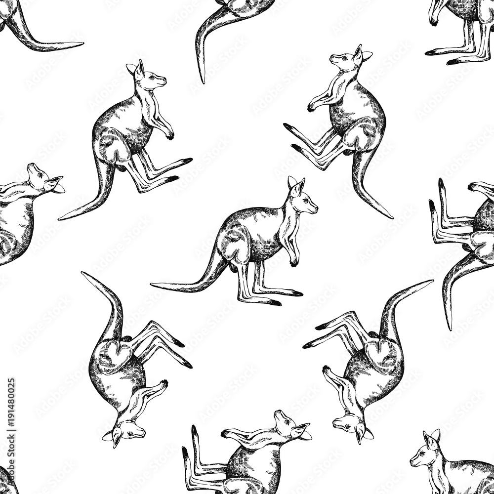 Fototapeta premium Seamless pattern of hand drawn sketch style kangaroo. Vector illustration isolated on white background.