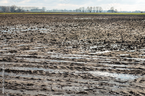 Obraz na płótnie Wet clay field with puddles of water due to rain w salonie