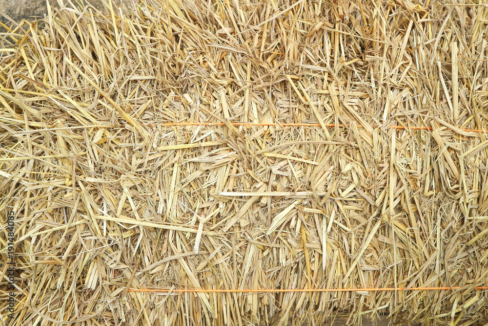 chaff or straw or haystack