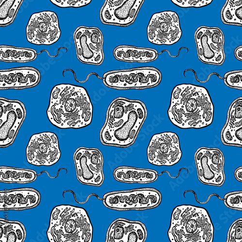 Seamless background of the plant, animal and bacterial cells