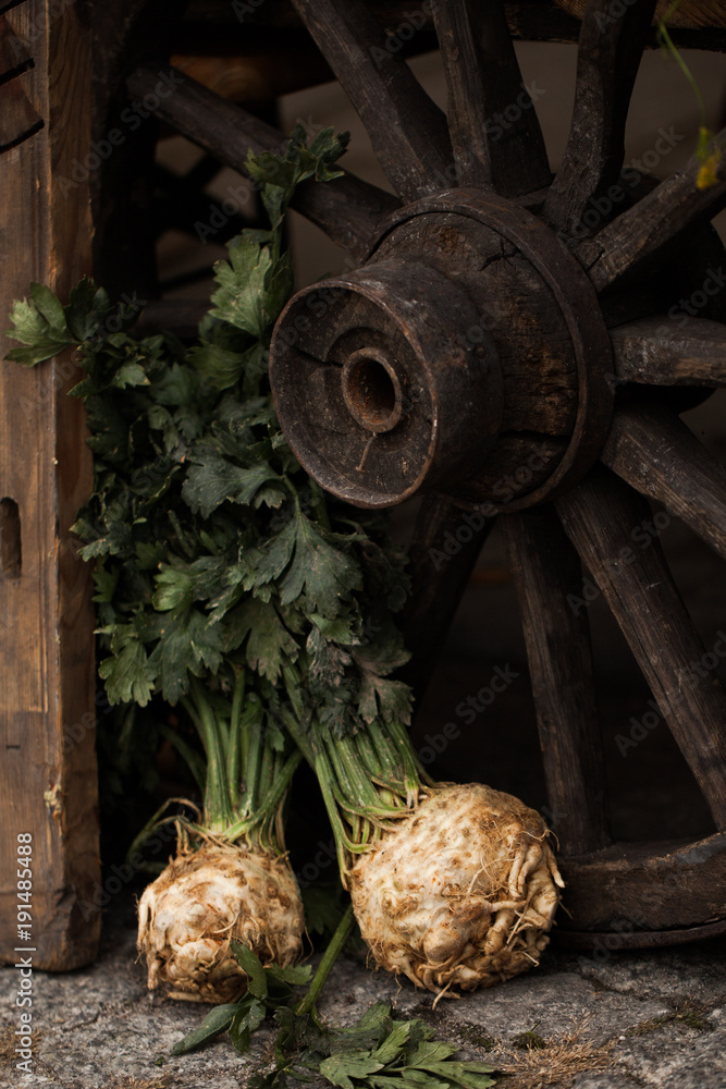 Organic celery (root celery and leaves of celery)
