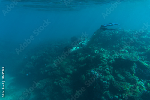 Underwater photo of woman snorkeling and free diving in a clear tropical water at coral reef. Sea underwater. © F8  \ Suport Ukraine
