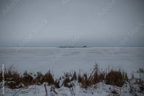 Photo of snowy field with shrubs and fir trees photo