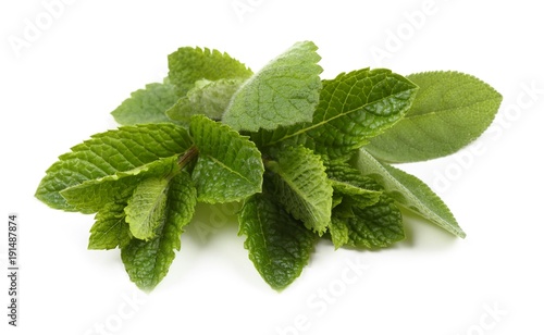 Aromatic fresh mint and sage.