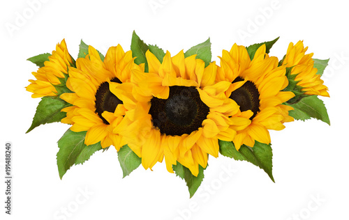 Fototapeta Naklejka Na Ścianę i Meble -  Yellow sunflowers and green leaves in wave summer arrangement