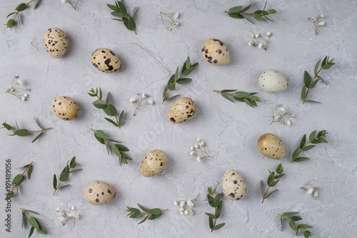 Happy Easter or spring greeting card pattern. made of quail eggs and leaf sprigs of eucalyptus. On a gray concrete background. Flat lay