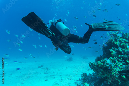 Scuba diving with fish on coral reef underwater sea