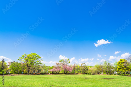 青空と新緑の公園 © oben901
