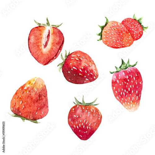 Watercolor strawberry vector set