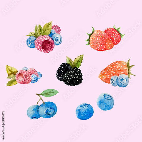 Watercolor berries vector set