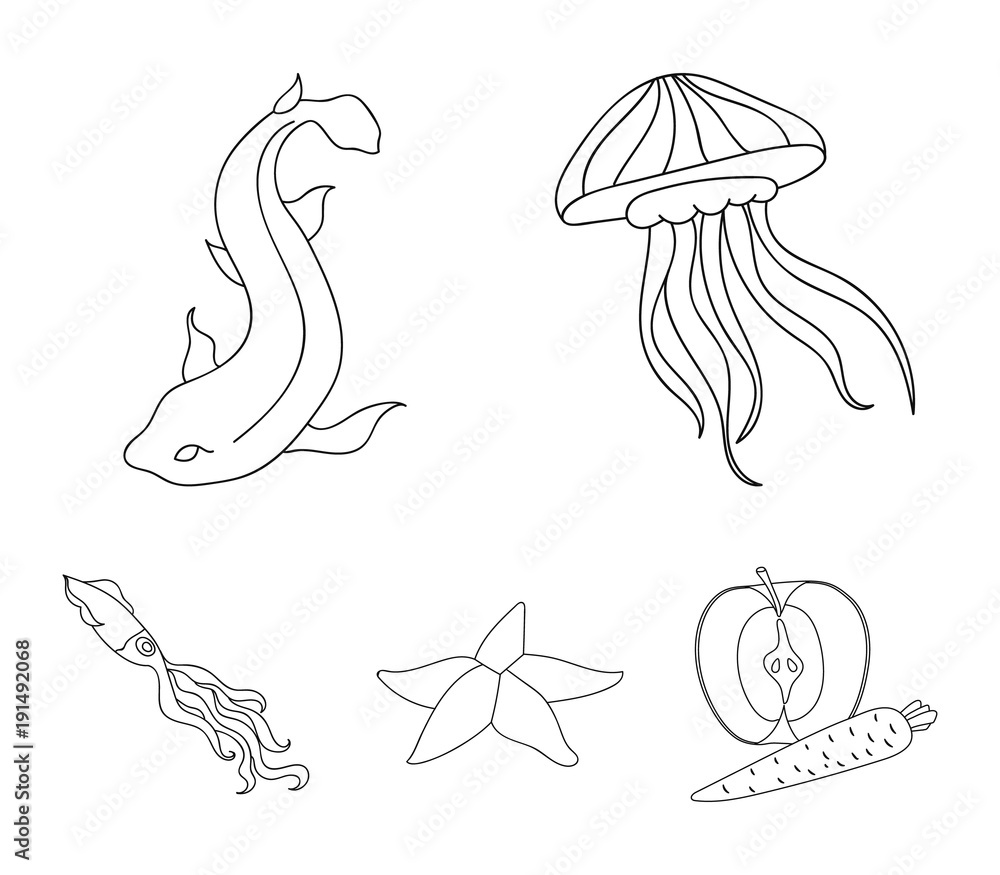 Jellyfish, squid and other  animals set collection icons in  outline style vector symbol stock illustration web. Stock Vector | Adobe  Stock