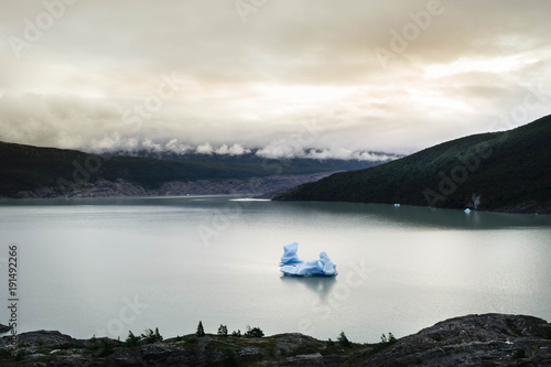 Glacier Grey, icebergs floating. Beautiful and sculpture shape. Patagonia, Chile © pamelaloreto